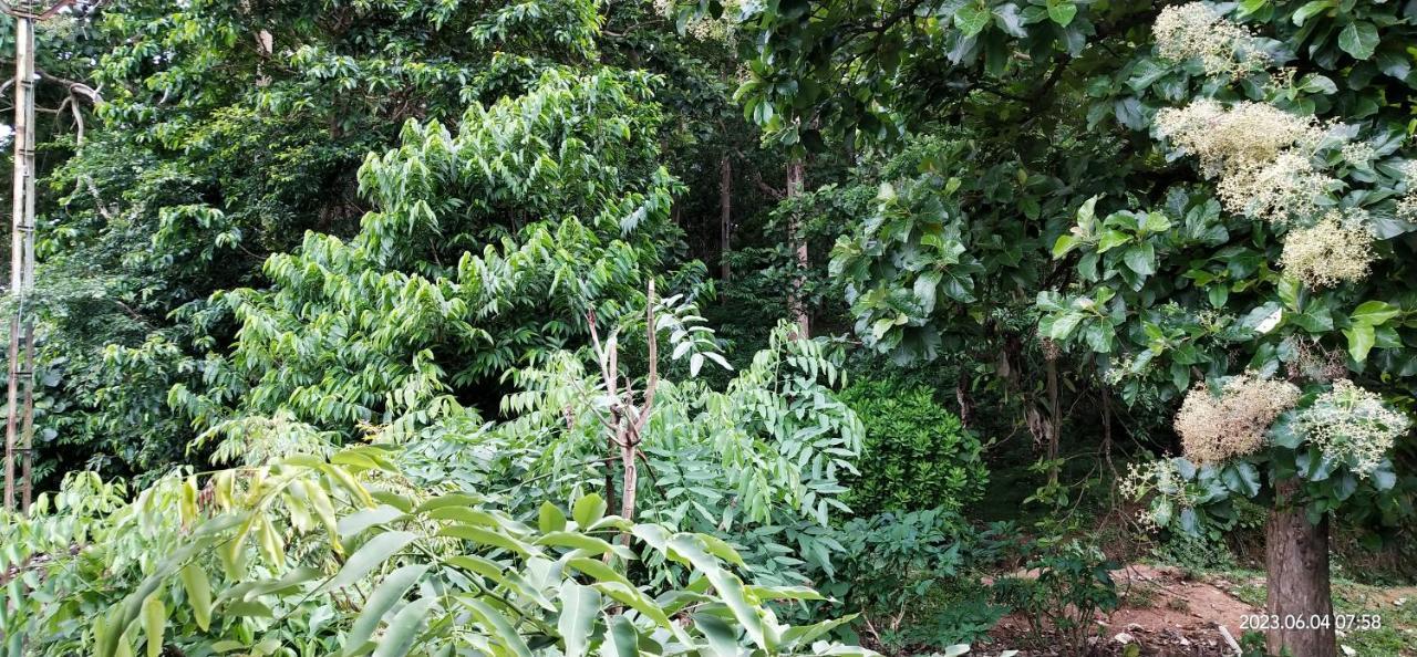 Floral Homestay Thekkady Ngoại thất bức ảnh