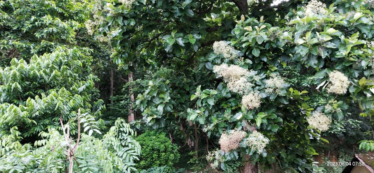 Floral Homestay Thekkady Ngoại thất bức ảnh